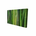 Fondo 20 x 30 in. Bamboo Plant-Print on Canvas FO2779411